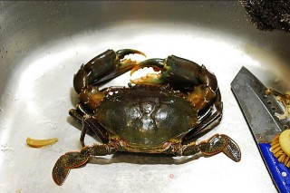 Fried Crab in Typhoon Shelter recipe