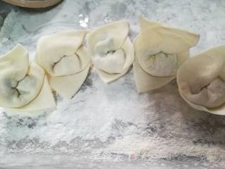 Vegetable Wonton recipe