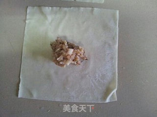 Fresh Mushroom Pork Wonton recipe