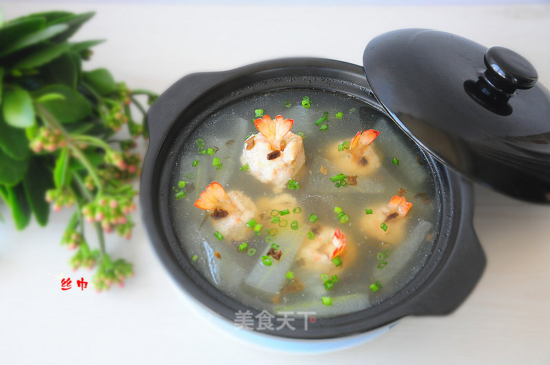 #东岭破壁机之# Winter Melon and Shrimp Puree Sprout Soup recipe