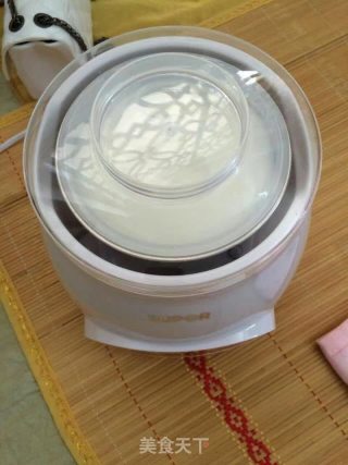 Yogurt Homemade recipe