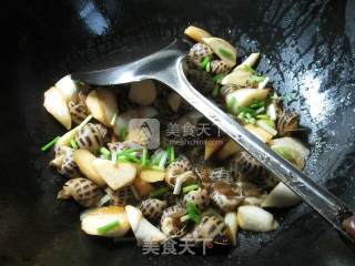 Stir-fried Snails with Rice White recipe