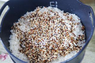 Tricolor Quinoa Rice recipe