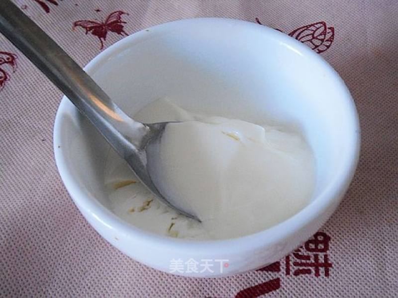 Yogurt Diy recipe