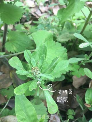 #春食野菜香#qingmingba recipe