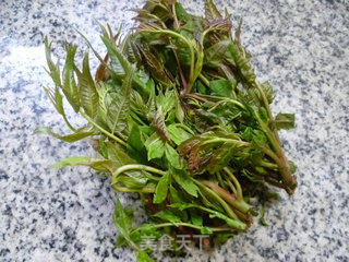 Toon Mixed with Peanut Kernels recipe