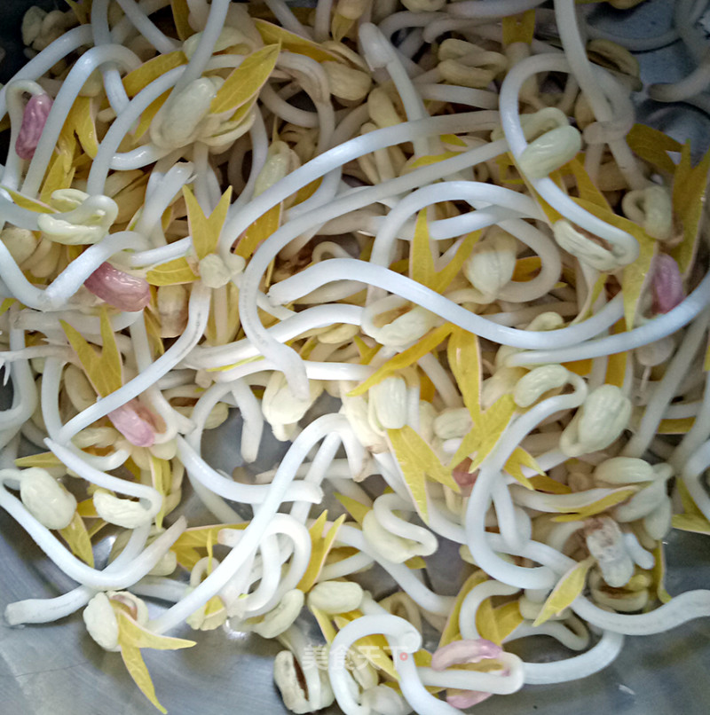 Spontaneous Mung Bean Sprouts (easy to Learn) recipe