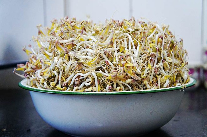 Stir-fried Mung Bean Sprouts with Broccoli Vegetarian recipe