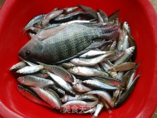 Tilapia Stewed Tofu recipe