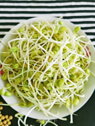 Homemade Soybean Sprouts recipe