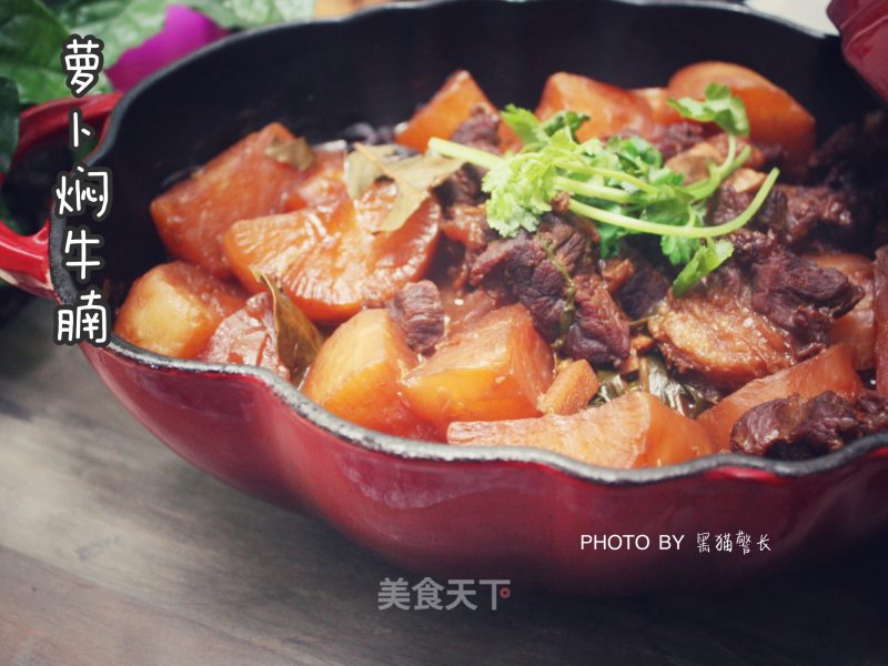 #trust之美# Braised Beef Brisket with Radish recipe