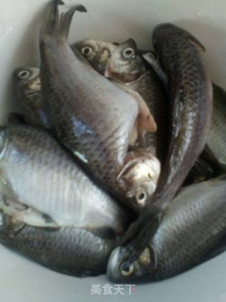 Crucian Fish Soup recipe