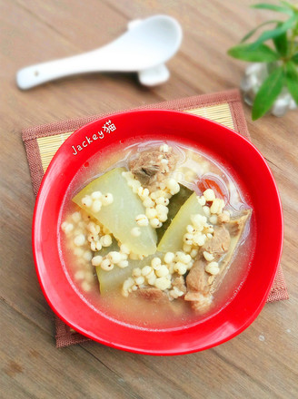 Winter Melon and Barley Pork Bone Soup recipe