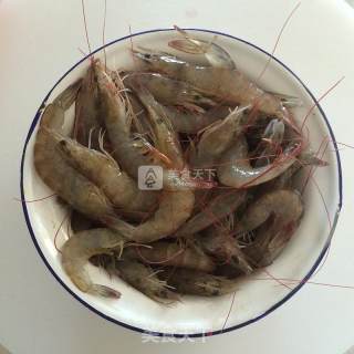 Brine Shrimp recipe