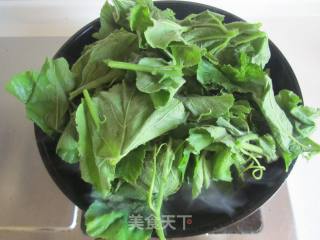 Stir-fried Pumpkin Leaves recipe