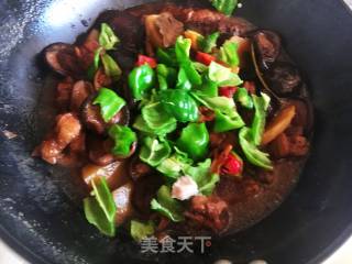 Yellow Braised Chicken recipe