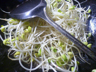 Fried Soy Sprouts with Purple Onion recipe