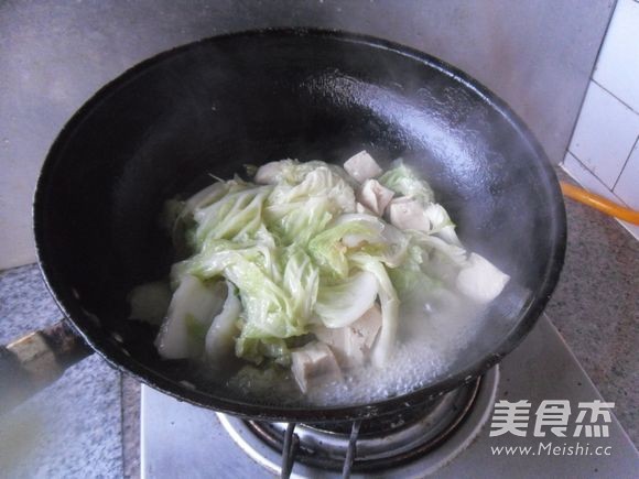 Braised Tofu with Cabbage Leaves recipe