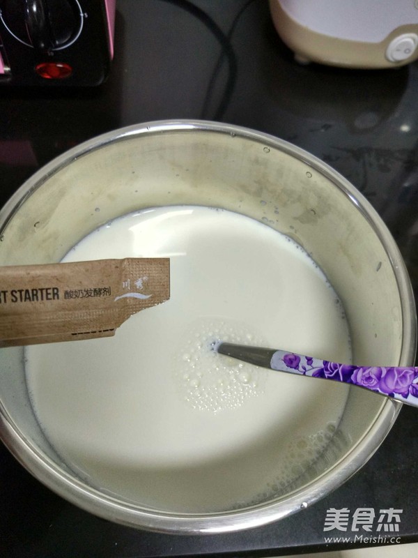 Homemade Plain Yogurt recipe
