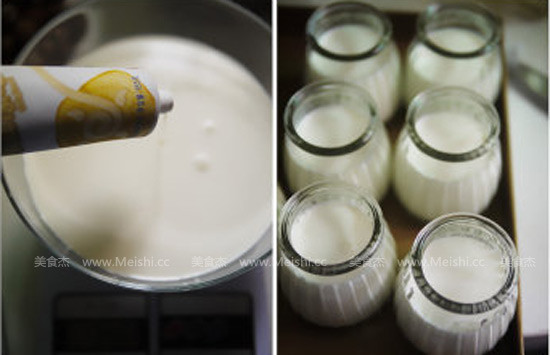 Plain Yogurt recipe