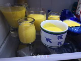 Mango Yogurt Pudding recipe