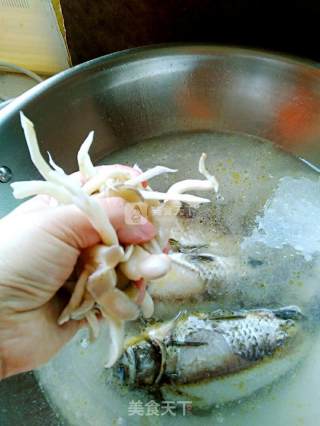 Fresh Oyster Mushroom and Crucian Carp Soup recipe
