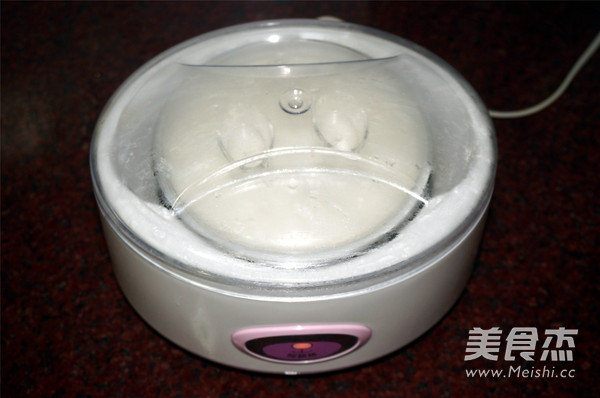 Probiotic Yogurt recipe
