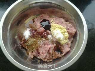 Homemade Ham Sausage recipe