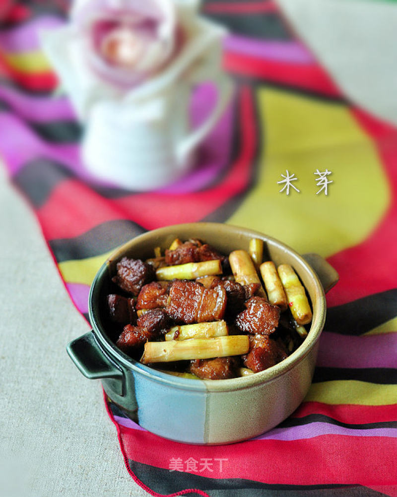 Braised Pork with Bamboo Shoots recipe