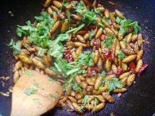 Dry Stir-fried Silkworm Pupae. recipe