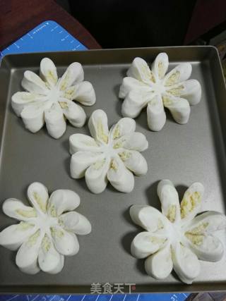 #trust之美#coconut Chrysanthemum Bag recipe