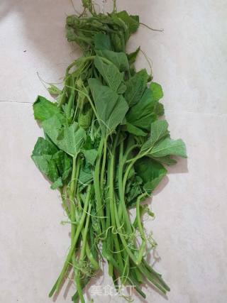 Stir-fried Melon Seedlings with Garlic recipe