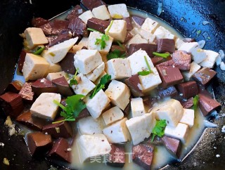 Pig's Blood Stewed Tofu#food Trimmings to Make A Big Meal# recipe