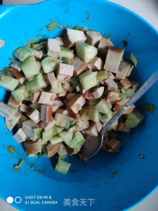 Vegetarian Chicken with Cucumber recipe