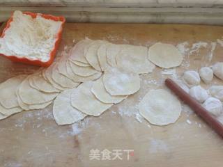 Handmade Dumplings recipe