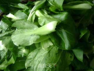 Garlic Shanghai Green recipe