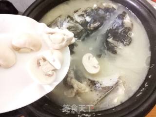 【suzhou】mushroom Tofu Fish Head Soup recipe