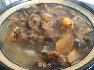 Lamb Stew with Radishes recipe