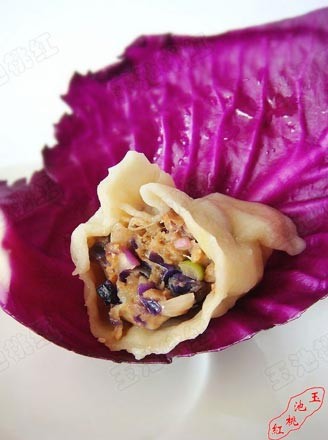 Purple Cabbage Dumplings