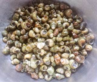 Stir-fried Escargot with Garlic Chili Sauce recipe