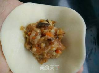 Pork and Mushroom Pot Stickers recipe