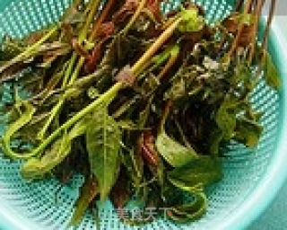 Fried Toon Fish-----spring Fresh recipe