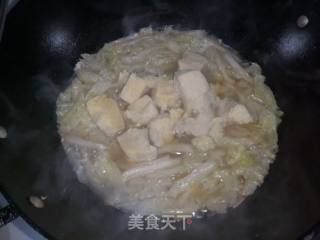 Braised Pork with Frozen Chinese Cabbage and Tofu recipe