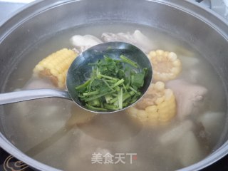 White Radish, Corn and Pigtail Soup recipe