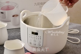 【peach Gum White Fungus Soup】 recipe