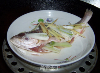 Steamed Sea Fresh recipe