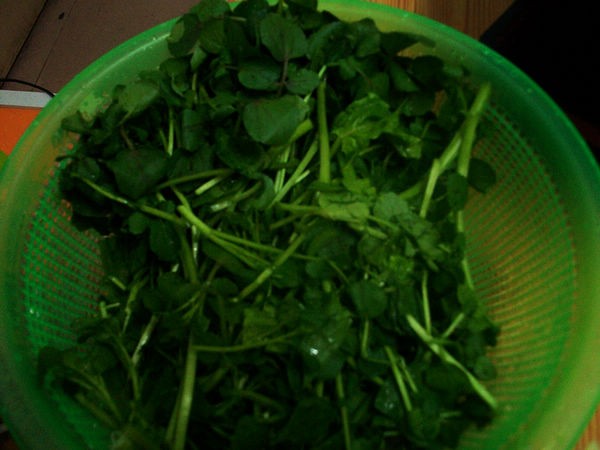 Cold Watercress recipe