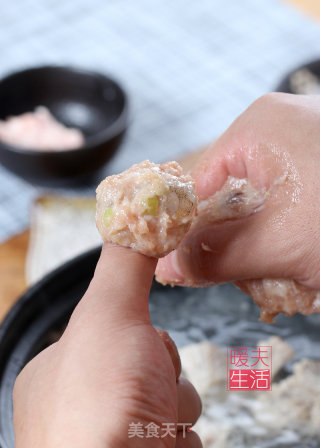 Pork Ribs and Winter Melon Meatball Soup recipe