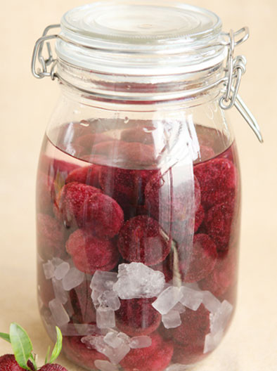 Bayberry Wine recipe