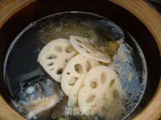 Carp and Lotus Root Soup recipe